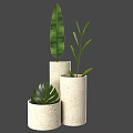 Stylish Potted Plants in Concrete Cylindrical Pots with Various Heights and Green Leaves
