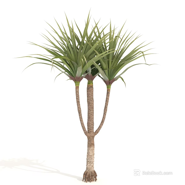 Tall Green Leafy Arbor Tree With Multi Trunk And Lush Foliage 3d model 