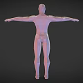 Low Poly 3D Human Figure Model Showcasing Biological Structure With Arms Outstretched And Anatomical Features 3d model