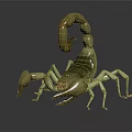 Scorpion 3D Model With Detailed Body Curved Tail And Sharp Claws On Black Reflective Surface