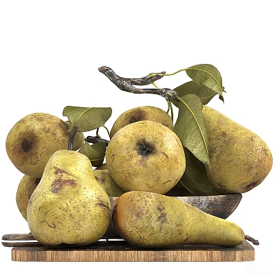 Fresh Ripe Pears with Green Leaves and Branch in Wooden Bowl 3d model
