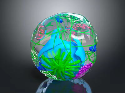 Colorful Marine Animals Inside Transparent Sphere With Green Plants And Decorative Elements 3d model
