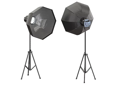 Floor Lamp With Octagonal Softbox And Tripod Stand For Studio Use 3d model