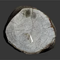 Natural Rustic Wooden Stone Tree Stump Stool With Bark Texture And Rough Solid Surface