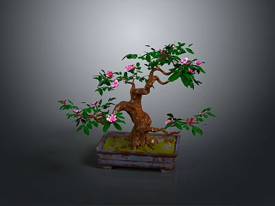 Decorative Bonsai Plant With Green Leaves And Pink Flowers In Square Pot 3d model