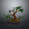 Decorative Bonsai Plant With Green Leaves And Pink Flowers In Square Pot