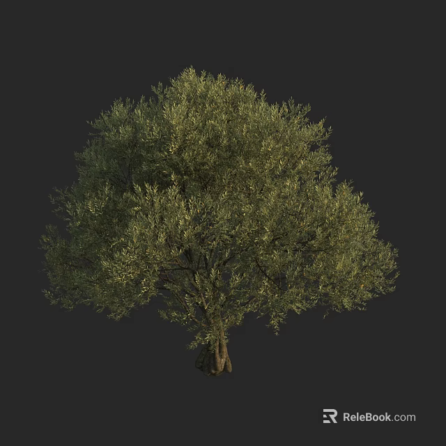 Lush Green Arbor With Dense Foliage And Strong Trunk In Natural Form 3d model 