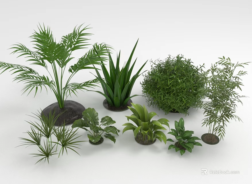 Various Types of Green Indoor Plants Including Palm Aloe and Bushes in Pots 3d model 