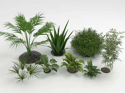 Various Types of Green Indoor Plants Including Palm Aloe and Bushes in Pots 3d model