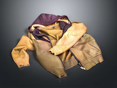Casual Hooded Jacket With Brown And Purple Color And Zipper Closure 3d model
