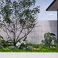 Lush Garden Greenery With Tall Tree Orchids And Varied Plants Against Modern Wall
