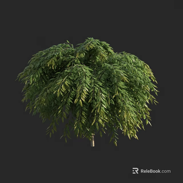 Lush Green Arbor With Dense Foliage And Graceful Drooping Branches 3d model