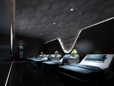 Luxury Club Lounge With Comfortable Reclining Chairs Dark Wood Walls And Modern Lighting 3d model