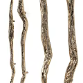 Golden Textured Twisted Decorative Branches As Stylish Home Art Ornament Piece