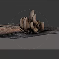 Light Pink Fresh Mushrooms with Rock Texture Placed on Gray Display Base