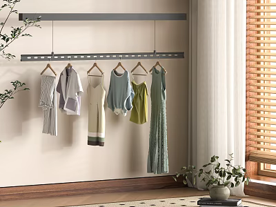 Stylish Clothes Hanging On Wooden Hangers With Wall Mounted Rail And Plants Near Window 3d model