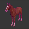 Red Horse with White Face and Legs Standing on Dark Background