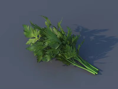 Green Parsley Bundle Featuring Fresh Leaves And Stems On Gray Background 3d model