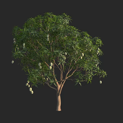Tree with Lush Green Leaves and Hanging Green Fruits on Brown Trunk 3d model