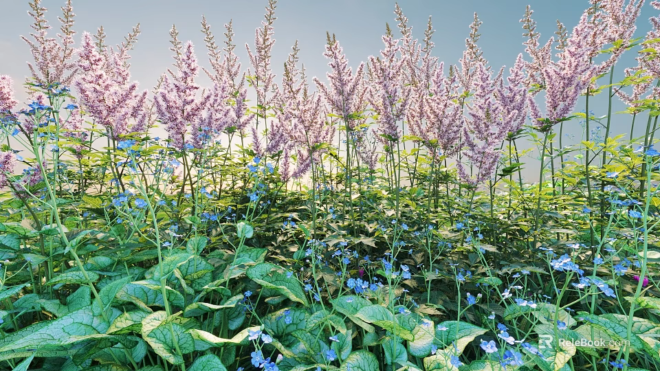 Thriving Purple Flowers With Green Leaves And Blue Blooms In Sunlit Garden 3d model 