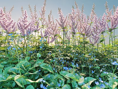 Thriving Purple Flowers With Green Leaves And Blue Blooms In Sunlit Garden 3d model