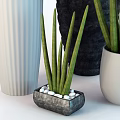 Green Long Leaf Potted Plants In White Ribbed And Black Planters