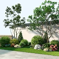 Grapefruit Tree Shrub Flower Mirror Combination Courtyard Greening Plant Configuration Simple Plant Configuration Shrub Ball Flower Mirror 3d model