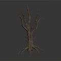 Dry Plant Branches With Various Heights And Shapes On White Background