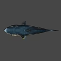 Realistic 3D Shark Model With Open Mouth And Detailed Skin Texture