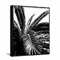 Black and White Palm Leaf Plant Painting For Modern Interior Wall Decor