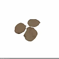 Three Irregular Brown Plant Leaf Shapes With Natural Textured Surfaces