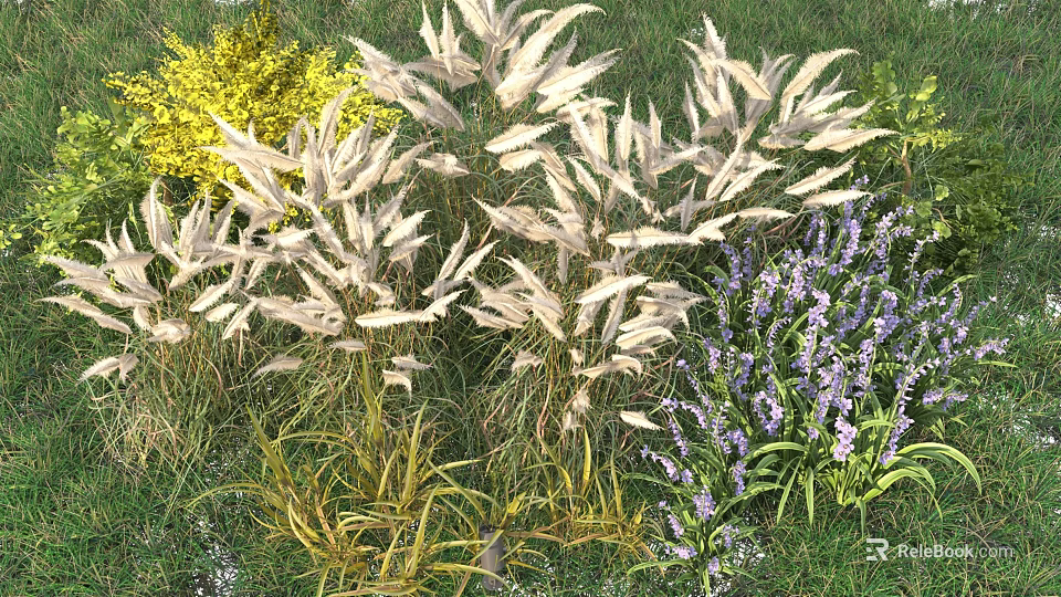 Vibrant Garden Shrubs With Yellow White Feathery Plumes And Purple Flowers 3d model 