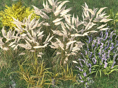 Vibrant Garden Shrubs With Yellow White Feathery Plumes And Purple Flowers 3d model