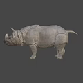 Rhinoceros Game Movie Character Realistic 3D Model With Detailed Skin And Horn