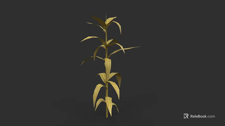 Golden Corn Plant With Tall Stalk And Lush Golden Leaves 3d model 