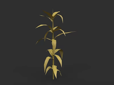 Golden Corn Plant With Tall Stalk And Lush Golden Leaves 3d model