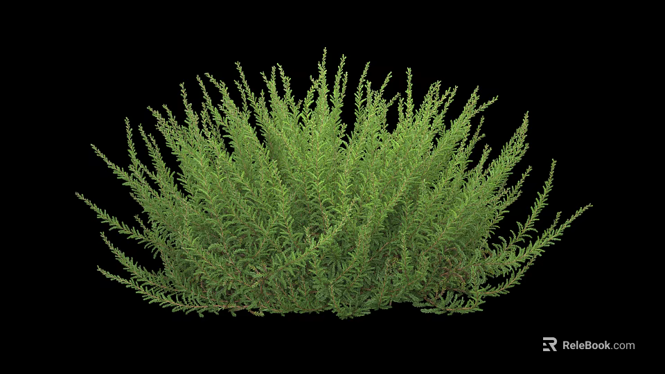 Lush Green Shrub With Dense Foliage And Natural Growth Structure Appearance 3d model 