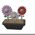 Colorful Potted Flowers With Pink White Red Petals Yellow Center Green Leaves In Black Pot
