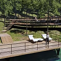 Scenic Park Landscape With Wooden Deck Stairs Railings And Lush Green Trees