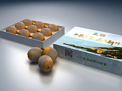 Mesh Wrapped Round Decorative Ornament Set With Display Box And Scattered Pieces 3d model