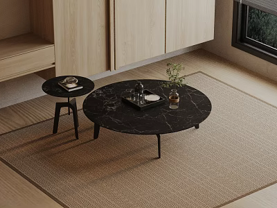 Sofa Coffee Table Set With Black Marble Top Wooden Cabinet And Green Plant On Rug 3d model