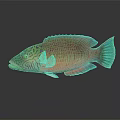 Modern Fish Double Line Tip-lip Fish 3d model