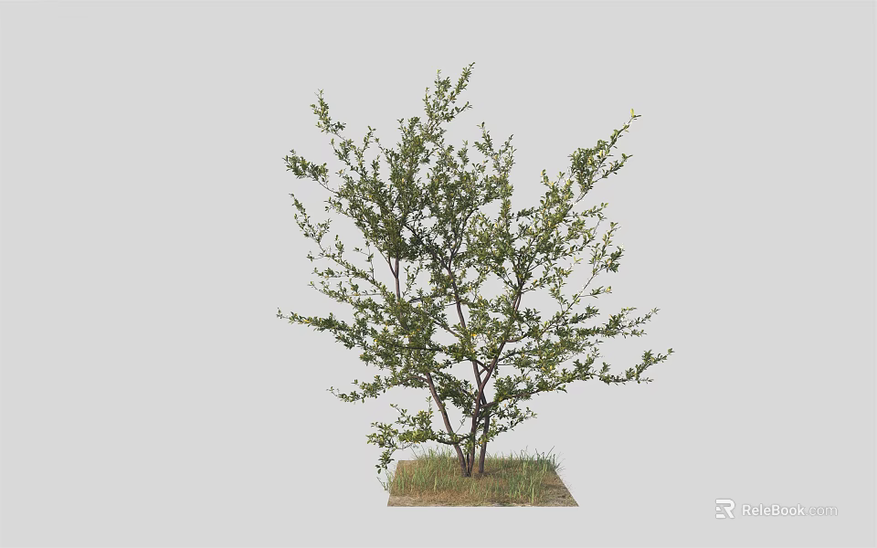Lush Arbor With Green Leaves And Multiple Branches On Grass Base 3d model
