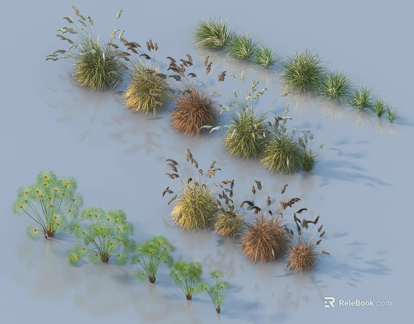 Various Grasses and Herbs with Different Colors Diverse Shapes on Light Blue Background 3d model 