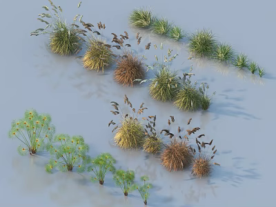 Various Grasses and Herbs with Different Colors Diverse Shapes on Light Blue Background 3d model