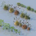 Various Grasses and Herbs with Different Colors Diverse Shapes on Light Blue Background