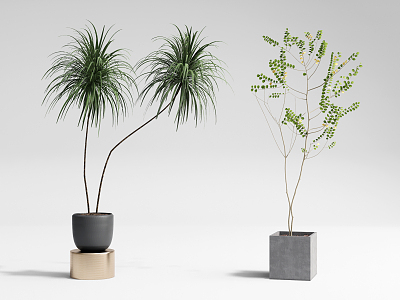 Modern potted combination 3d model