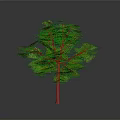 Lush Green Tree With Vibrant Green Leaves And Brown Trunk Against Gray Background