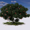 Lush Tree With Green Leaves Red Fruits Grass And White Clouds Under Blue Sky