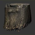Small Plants Growing On Old Weathered Tree Stump In Natural Environment